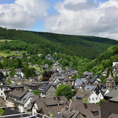 Beautiful Apartment In Willingen With Balcony Esterno foto